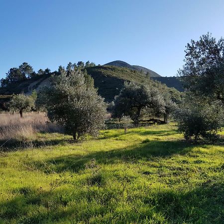 Casa Das Oliveiras Alvados Esterno foto