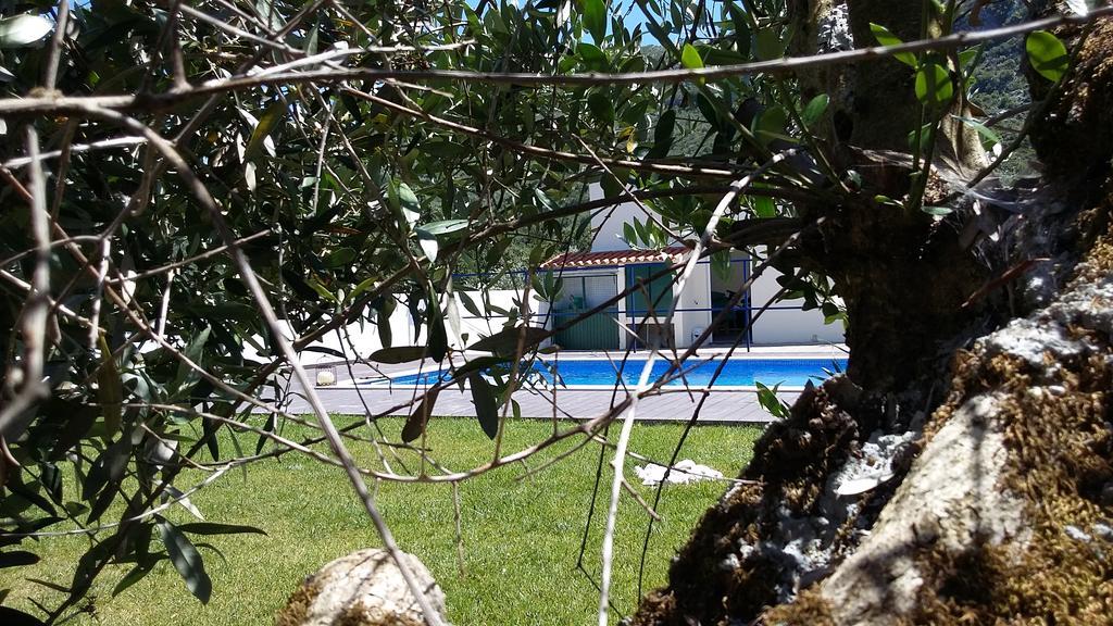 Casa Das Oliveiras Alvados Esterno foto
