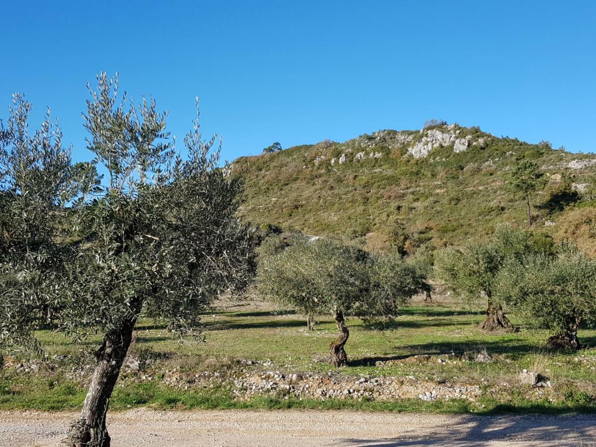 Casa Das Oliveiras Alvados Esterno foto
